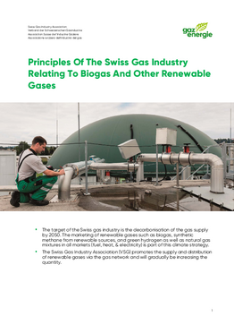 Principles Of The Swiss Gas Industry Relating To Biogas And Other Renewable Gases