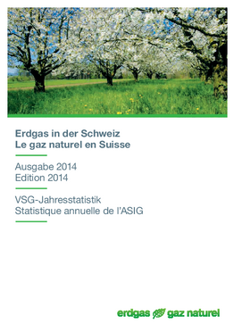 VSG Jahresstatistik 2014