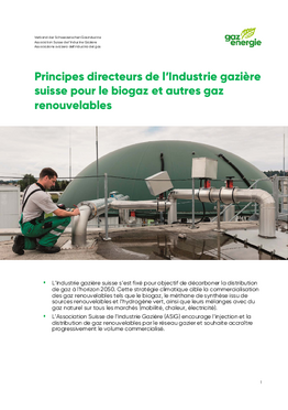Opuscolo: Principi applicati al biogas dell’industria svizzera del gas