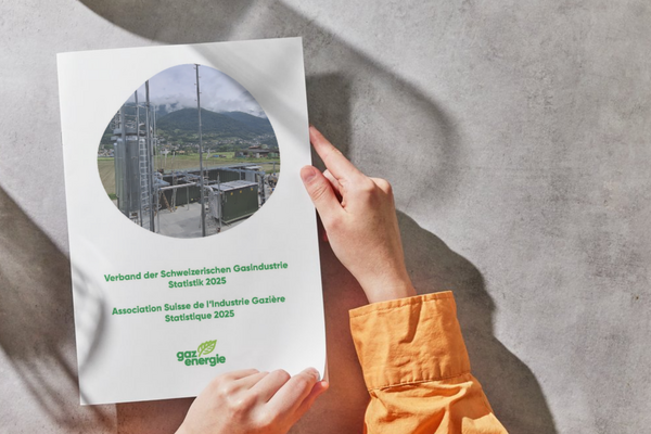 Statistiques annuelles 2025