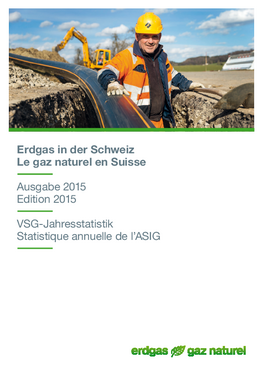 VSG Jahresstatistik 2015