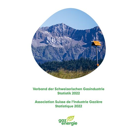 Broschüre: Jahresstatistik des VSG - Ausgabe 2022