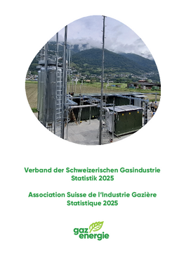 Broschüre: Jahresstatistik des VSG - Ausgabe 2025