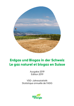 Statistique annuelle de l'ASIG 2019