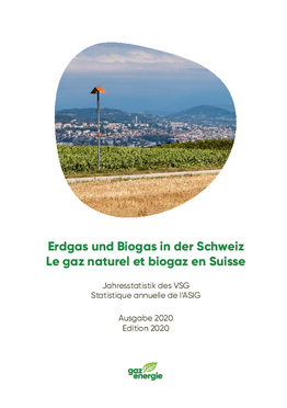 Statistique annuelle de l'ASIG