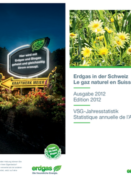 VSG Jahresstatistik 2012