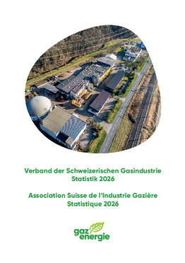 Broschüre: Jahresstatistik des VSG - Ausgabe 2026