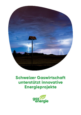 Broschüre: Schweizer Gaswirtschaft unterstützt innovative Energieprojekte
