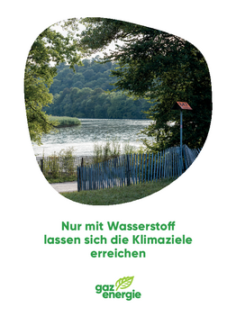Nur mit Wasserstoff lassen sich die Klimaziele erreichen