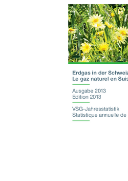 VSG Jahresstatistik 2013