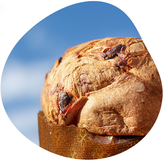 Le mariage entre tradition et innovation