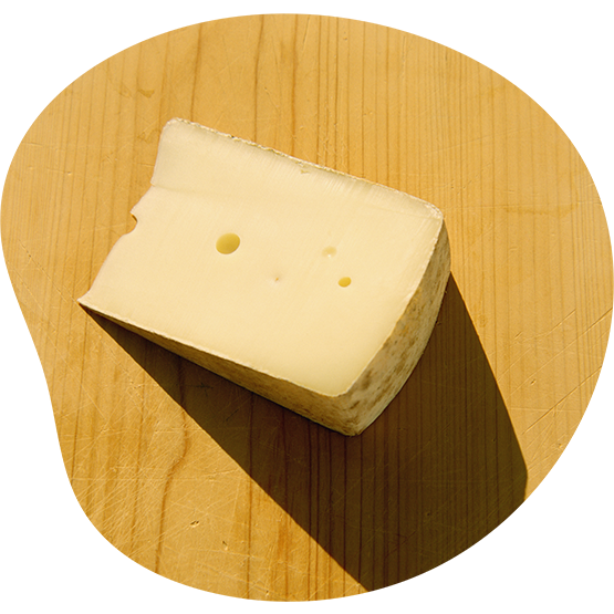 Erdgas als Teil einer Energieverbundlösung Erdgas als Teil einer Energieverbundlösung