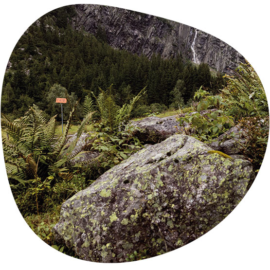 La stratégie du FOGA 2026–2030