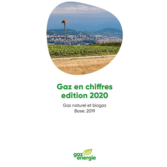 Brochure: Gaz en chiffres - edition 2020