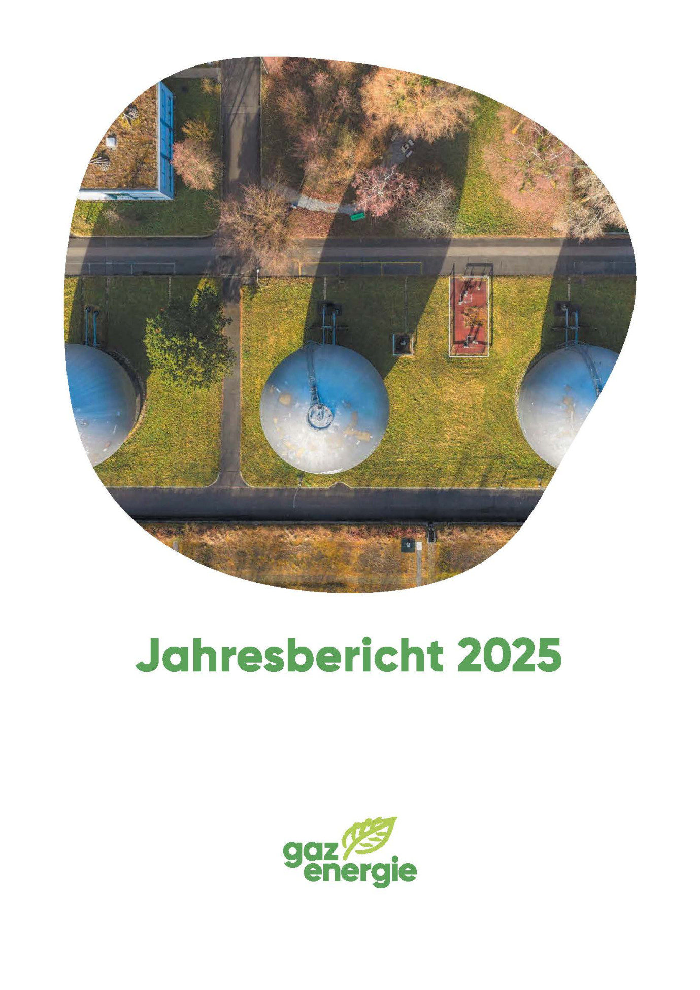 Jahresbericht VSG 2025