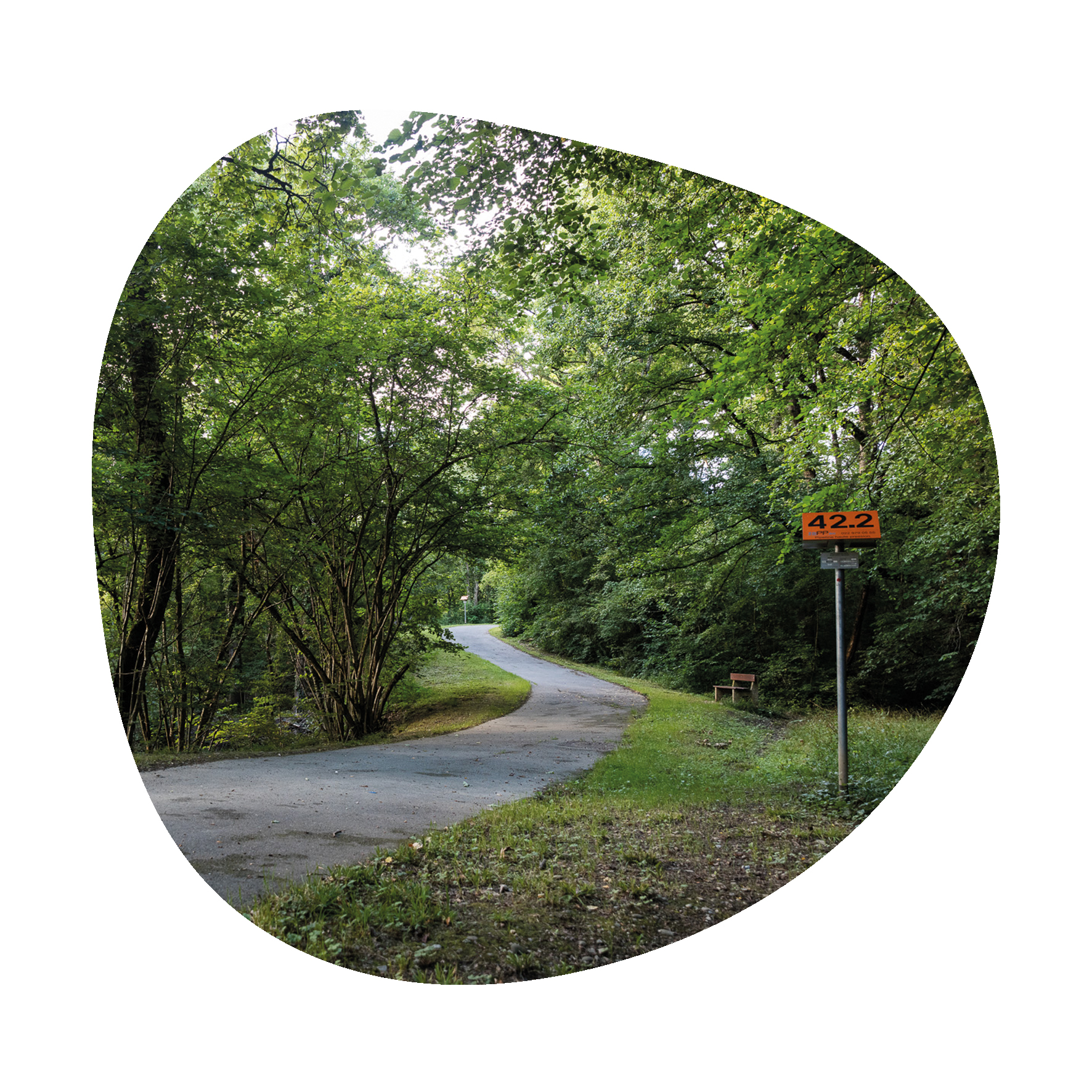 Mit Sektorkopplung den CO2-Ausstoss reduzieren