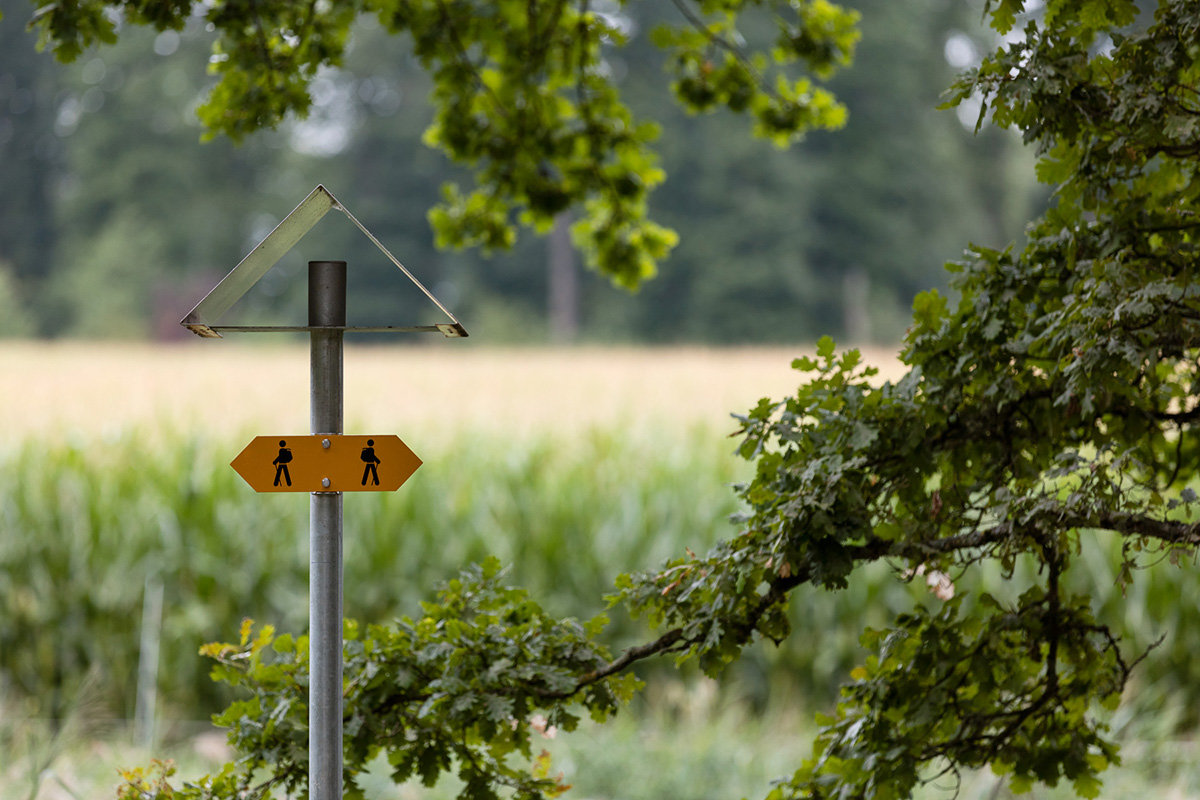 Service de presse ASIG