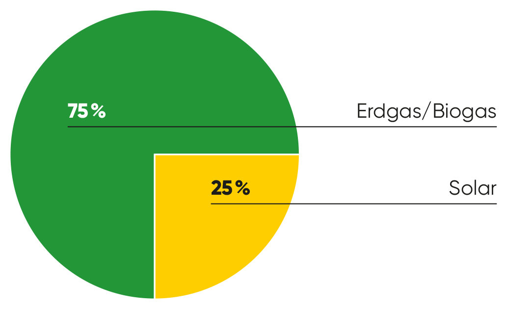 Grafik Gas-Heizung mit Solar