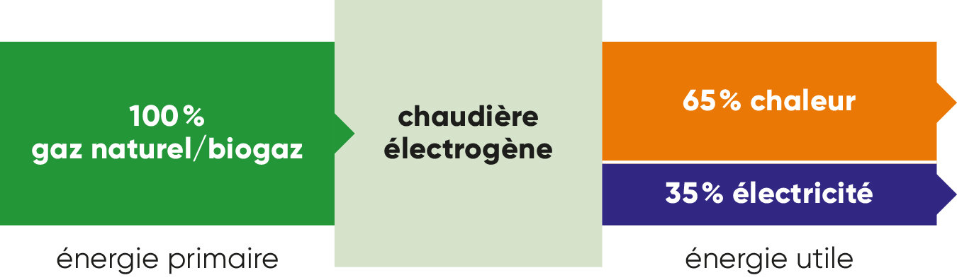 Graphice Chauffage électrogène: énergie primaire - conversion - énegie utile